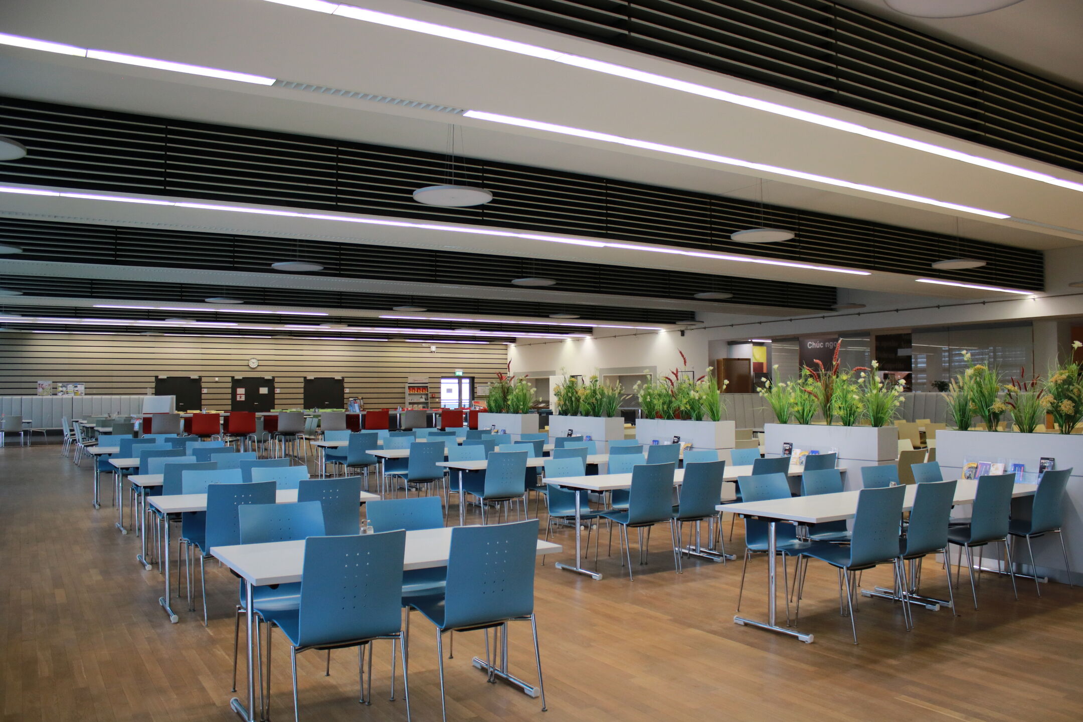 leerer Speisesaal mit Stühlen und Tischen und grünen Pflanzen