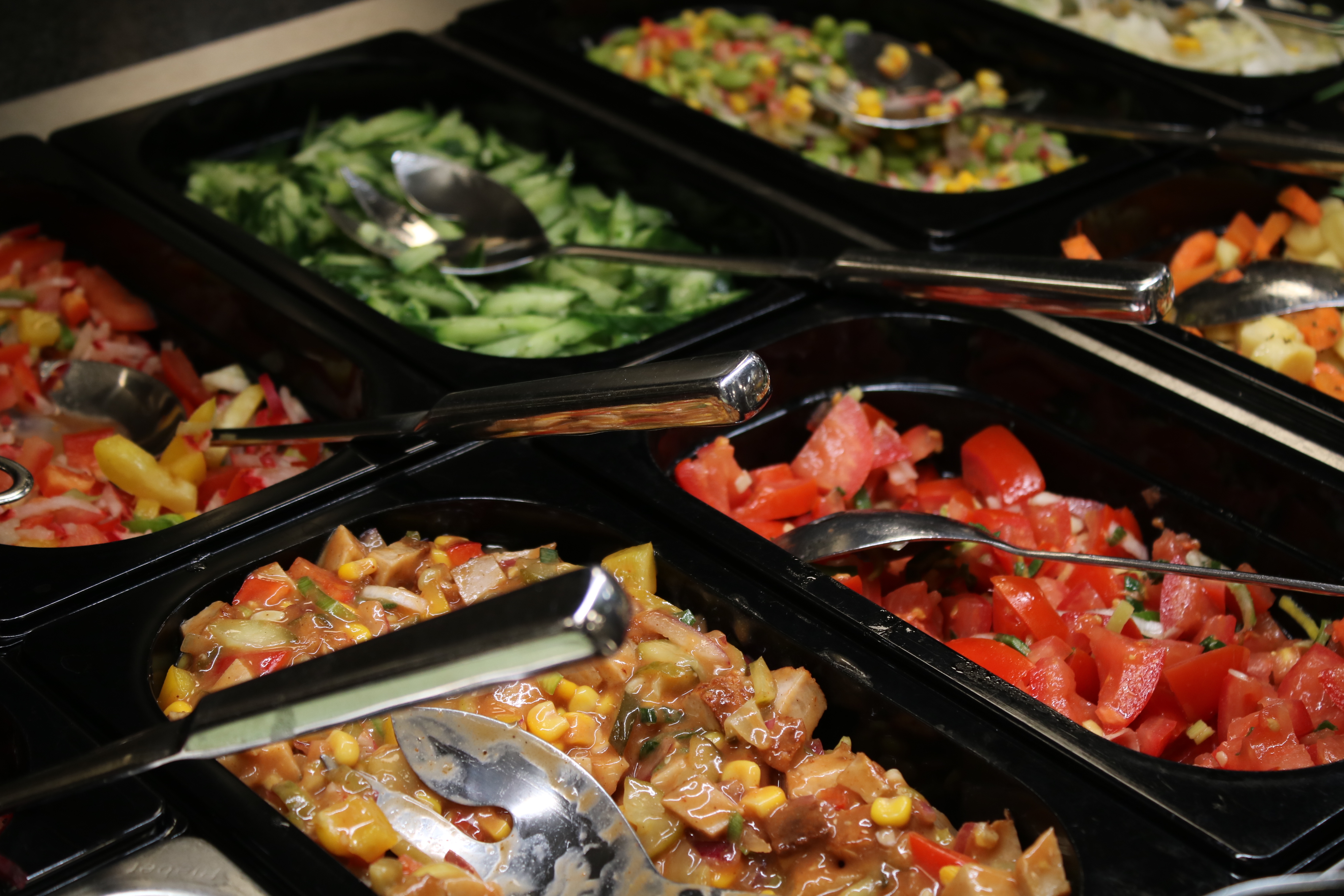 Salad bar with a variety of salads, cucumber salad, bell pepper salad, corn, and carrots