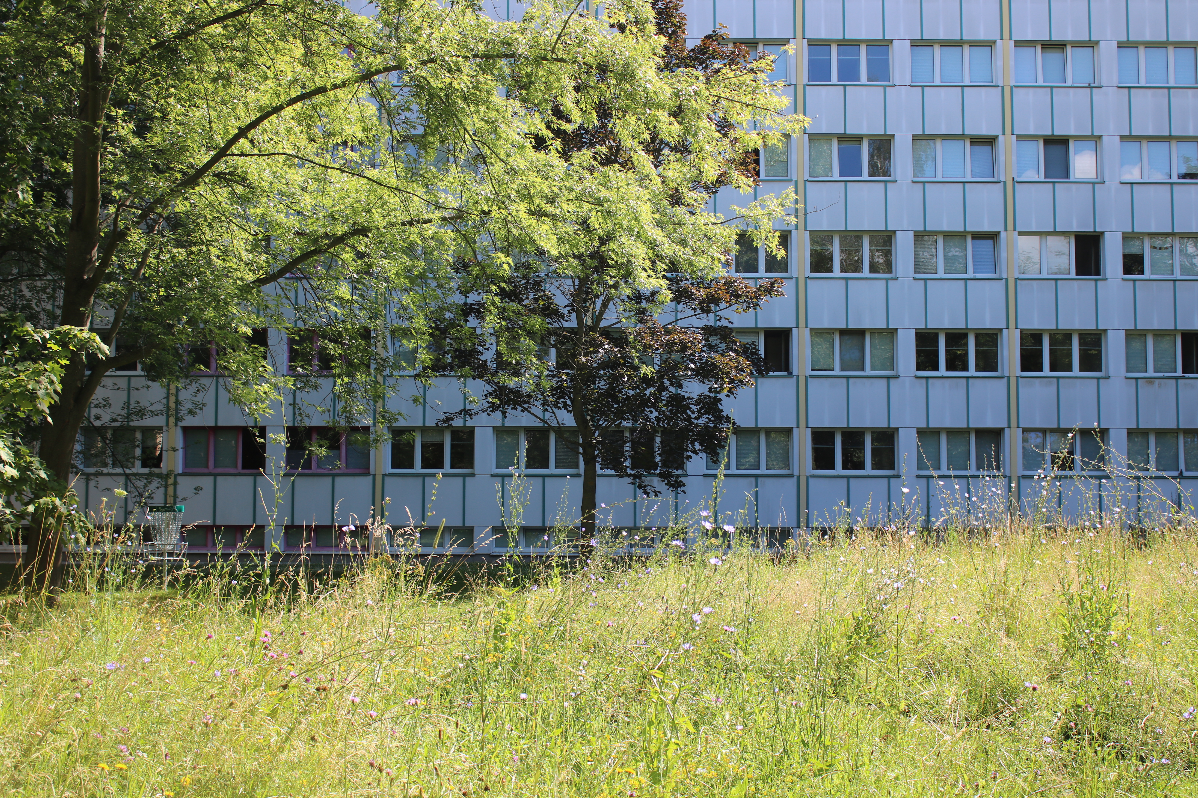 Wohnheim vor der Blühwiese